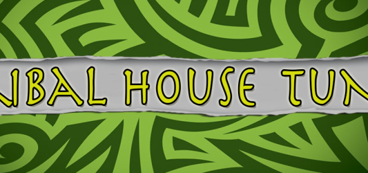 Tribal House Tunes
