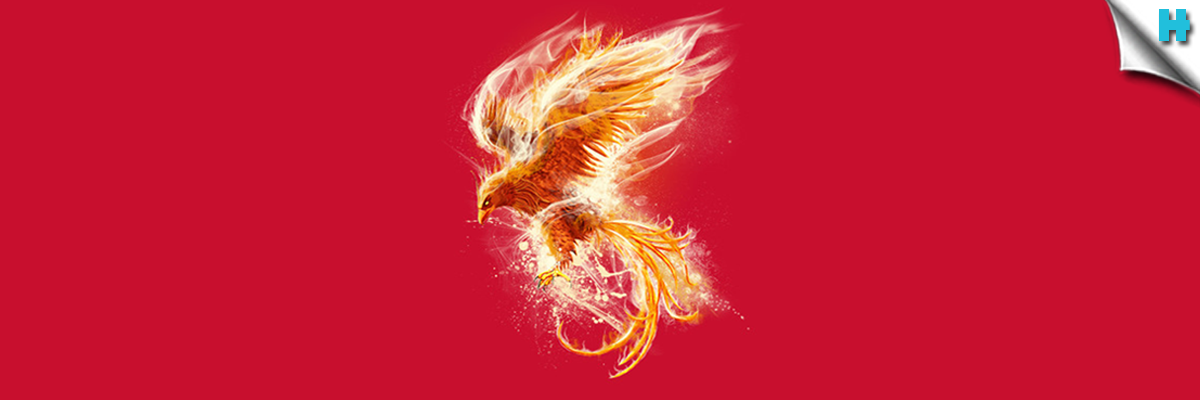 Flight Of The Phoenix